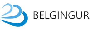 Belgingur Ltd